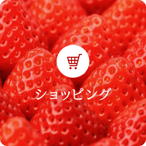 bnr3r_shopping_off